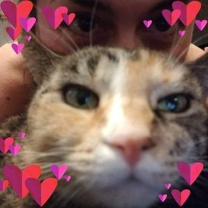 Meet your Posher, Denise